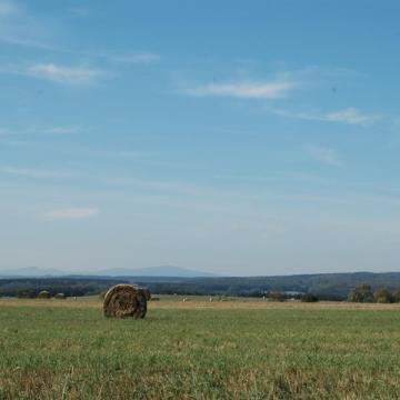 Brockenblick