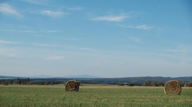 Brockenblick